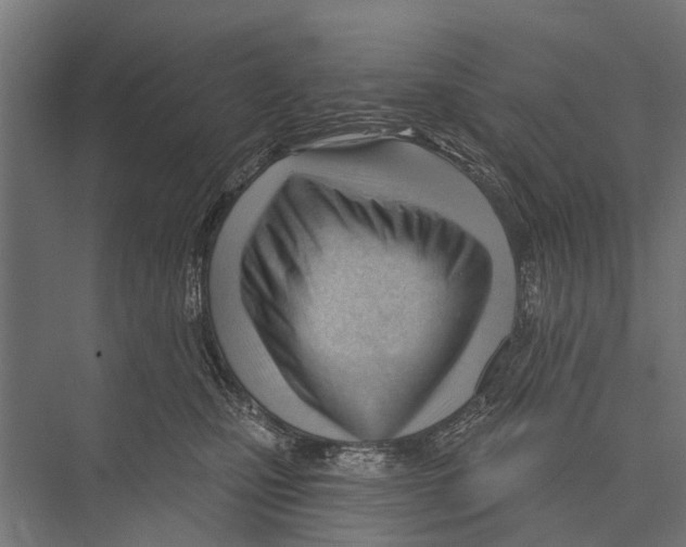 X0000075350471200610061725
