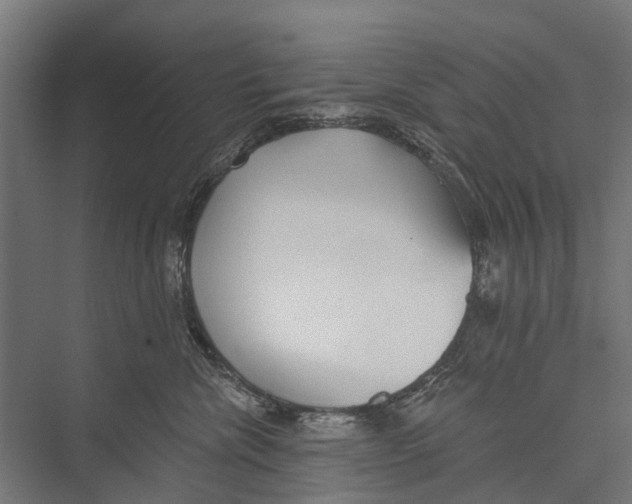 X0000075350476200610061725