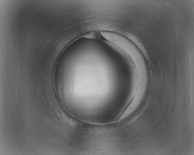 X0000075350481200610061725