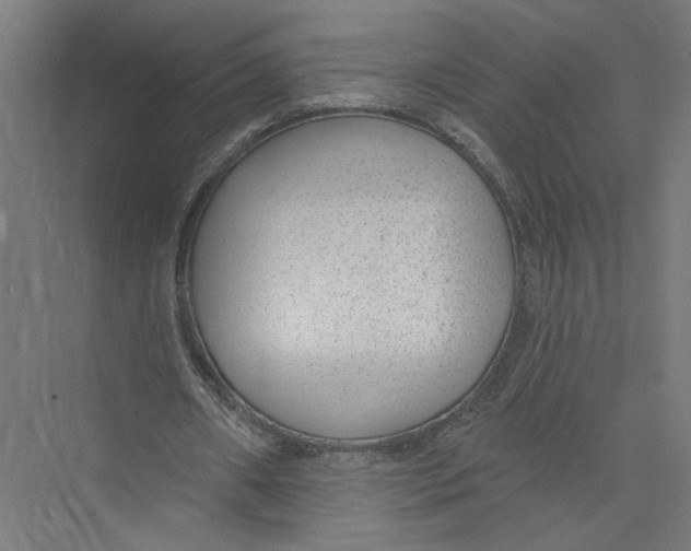 X0000075350482200610061725