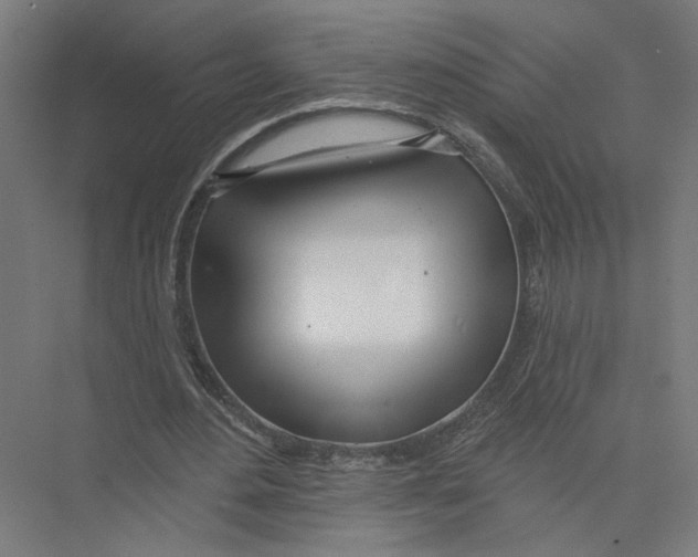 X0000075350484200610061725