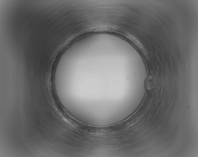 X0000075350485200610061725