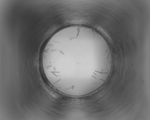 X0000075350486200610061725