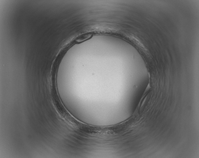 X0000075350488200610061725