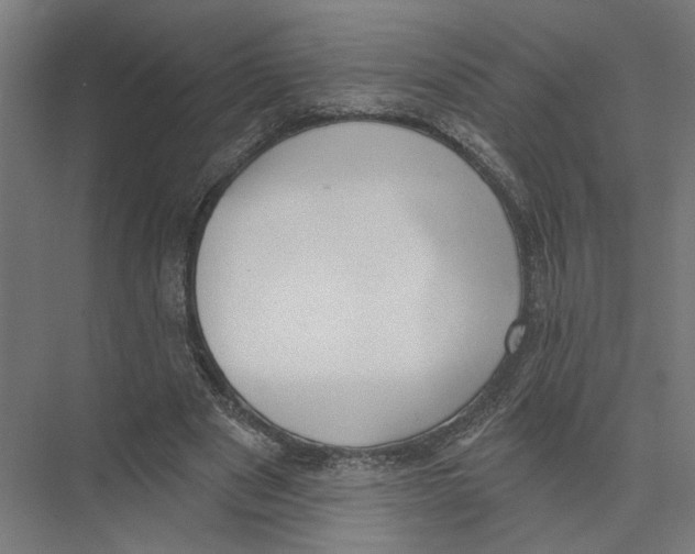 X0000075350489200610061725