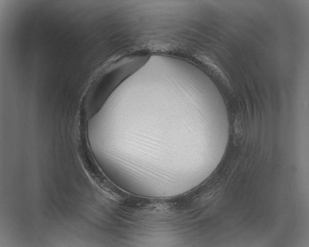 X0000075350492200610061725