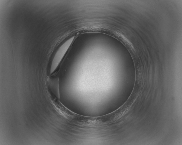 X0000075350493200610061724