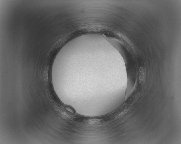 X0000075350501200610061724