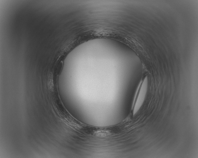 X0000075350508200610061724