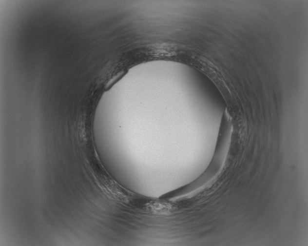 X0000075350512200610061724