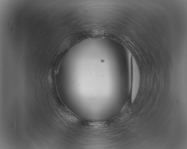 X0000075350516200610061724