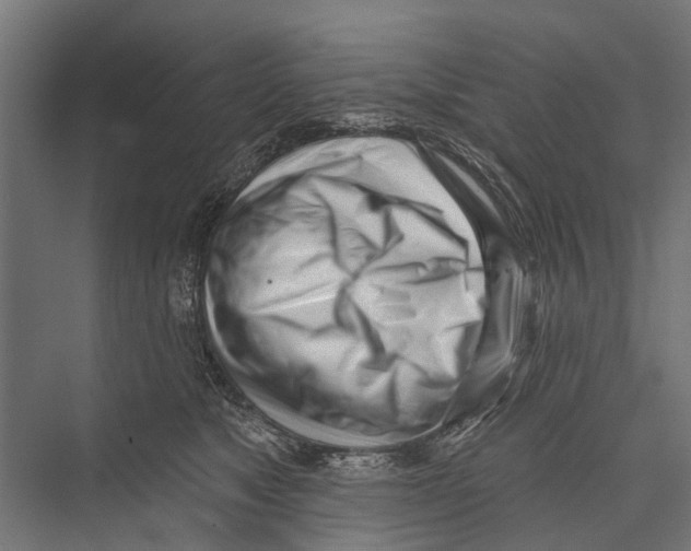 X0000075350517200610061724