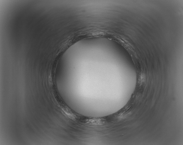 X0000075350524200610061724