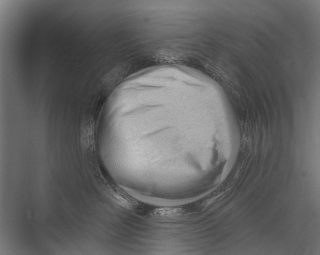 X0000075350526200610061724