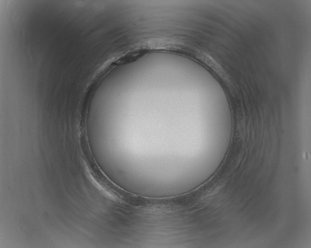 X0000075350530200610061723