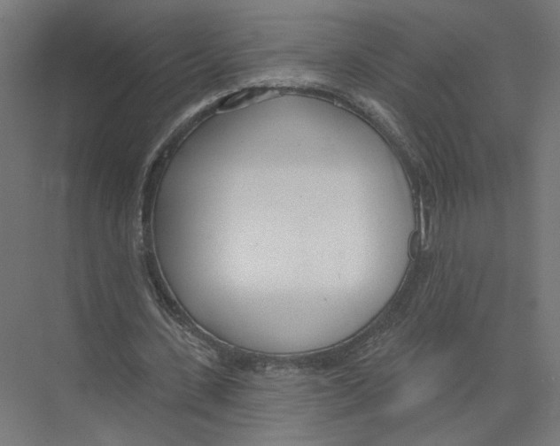 X0000075350531200610061723