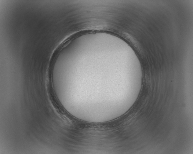X0000075350532200610061723