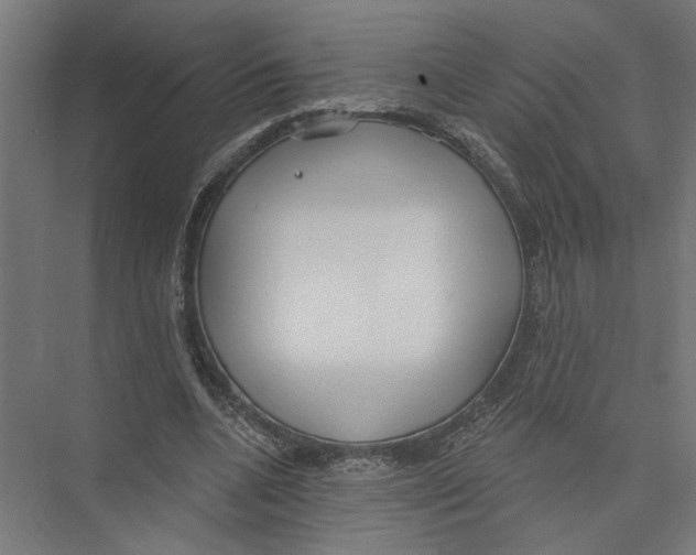X0000075350536200610061723