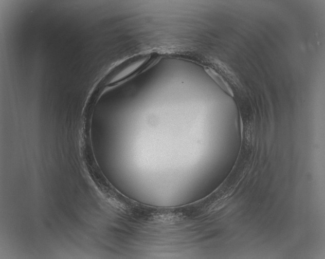 X0000075350540200610061723