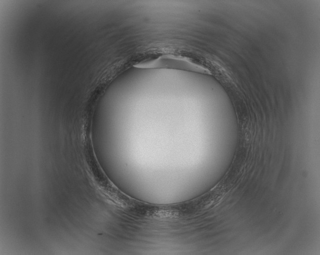 X0000075350546200610061723