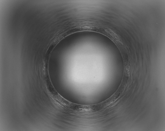 X0000075350552200610061723