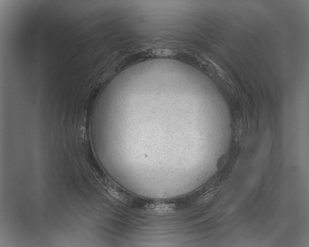 X0000075350553200610061723
