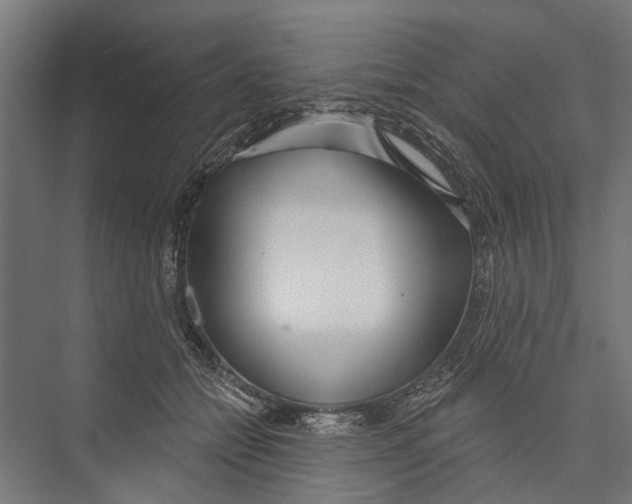 X0000075350558200610061724