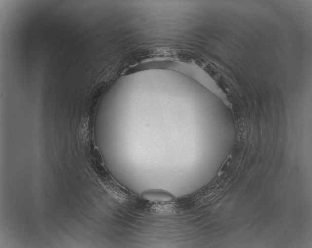 X0000075350560200610061724