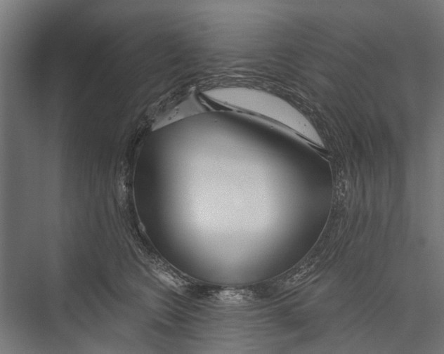 X0000075350566200610061724
