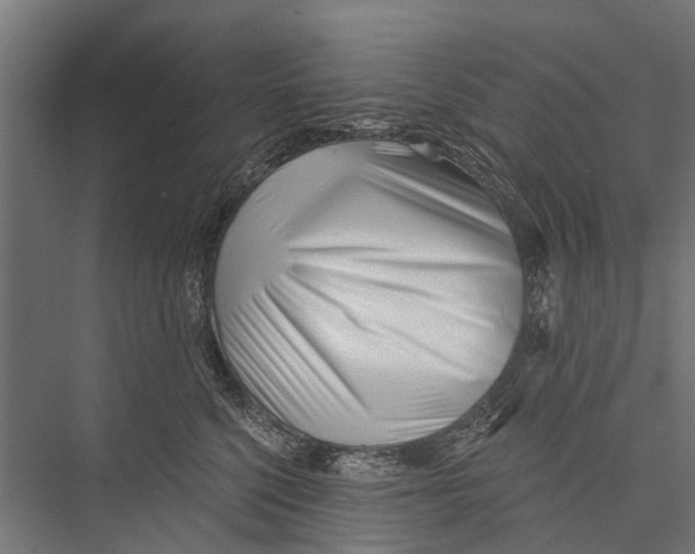 X0000075350568200610061724