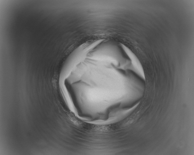 X0000075350576200610061724