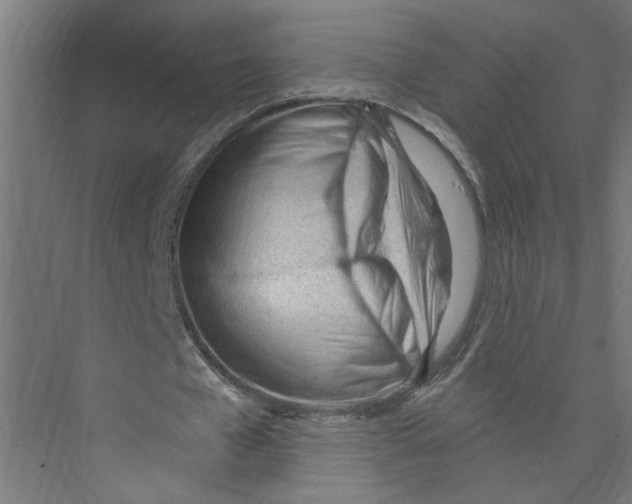 X0000075350577200610061723