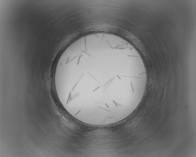 X0000075350578200610061723