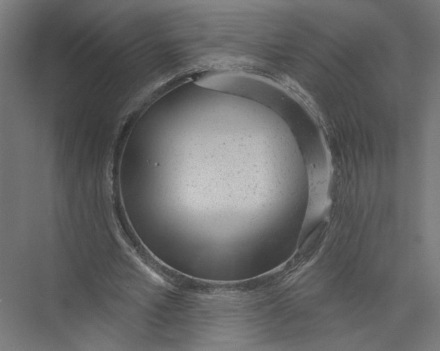 X0000075350581200610061723