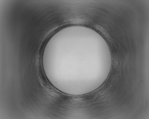 X0000075350583200610061723