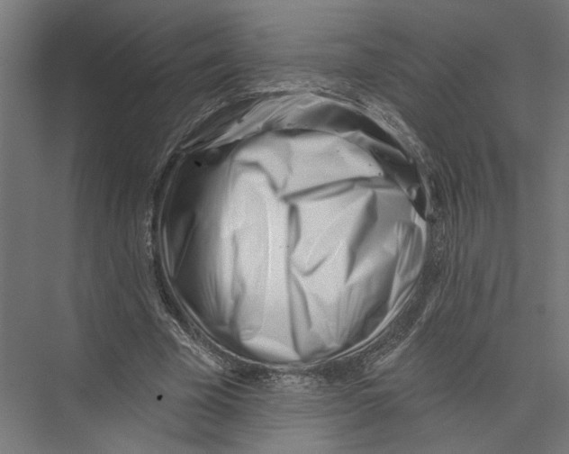 X0000075350585200610061723