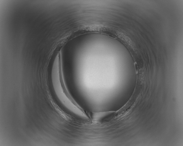 X0000075350589200610061723