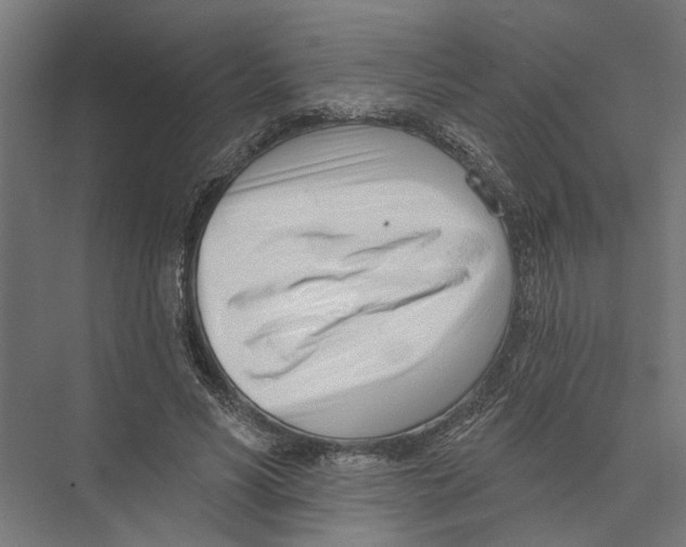 X0000075350590200610061723