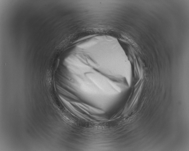 X0000075350593200610061723