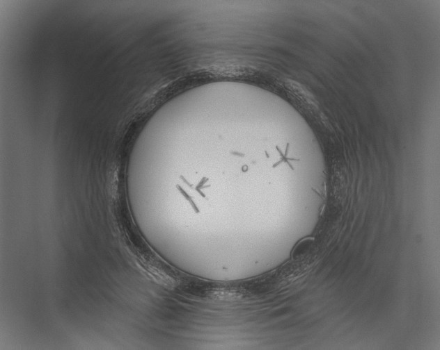 X0000075350596200610061723