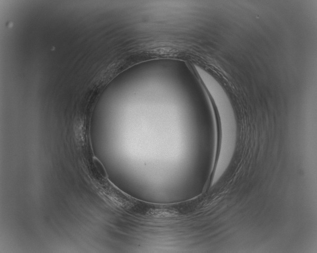 X0000075350597200610061723