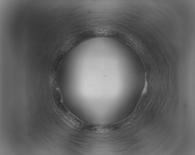 X0000075350601200610061723