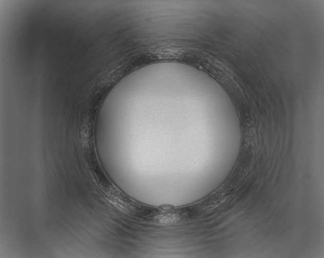 X0000075350604200610061723