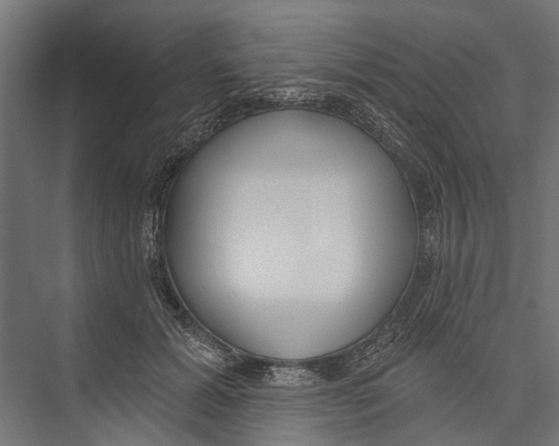 X0000075350605200610061723
