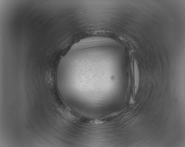 X0000075350607200610061723