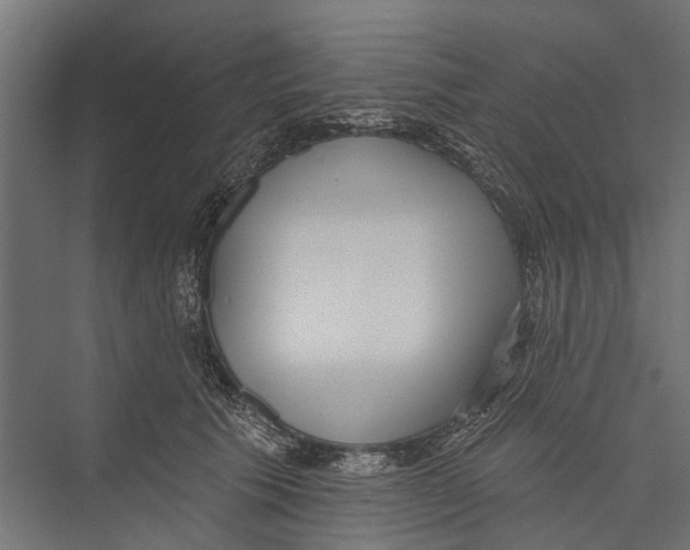 X0000075350609200610061723