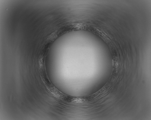 X0000075350611200610061722