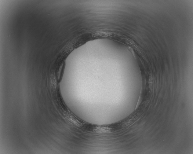 X0000075350617200610061722