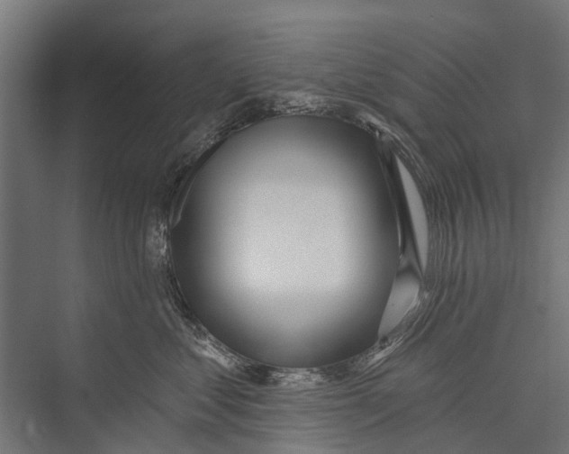 X0000075350621200610061722