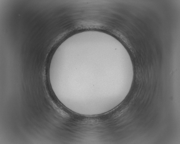 X0000075350629200610061722